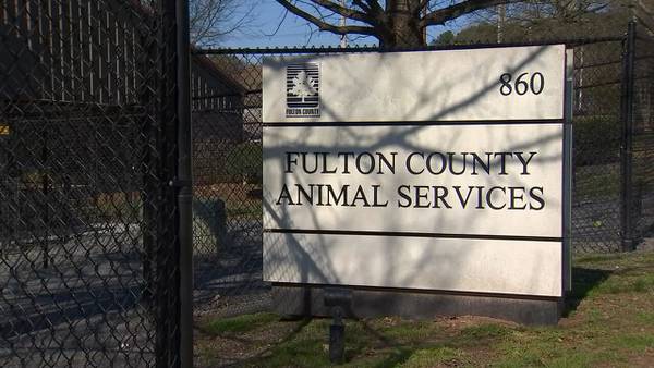 Will Fulton County restore animal control services in Atlanta? Commissioners to vote today