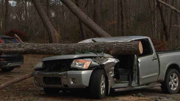 ‘God help me:’ Henry County man survives tree crushing truck with him inside