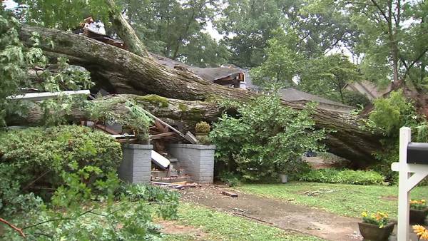 Family of 4 survives massive oak tree toppling onto their 110-year-old house in Smyrna