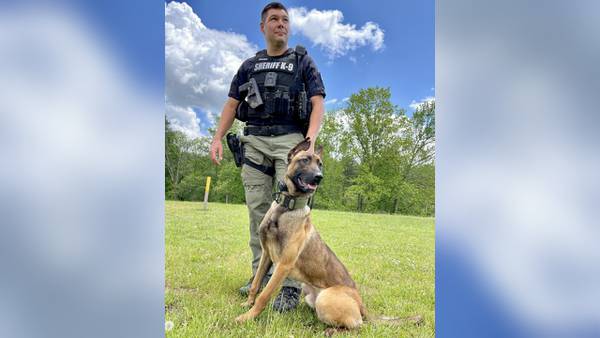 Cherokee County Sheriff’s Office welcomes new K-9 officer