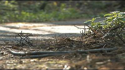 First responders use rope system to rescue injured hiker at GA trail