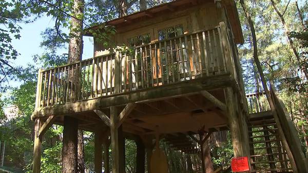 City orders popular vacation rental in Kennesaw to shut down, says treehouse must be torn down