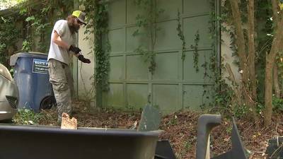 Owner of landscaping business steps up to clear out massively overgrown Gwinnett County yard
