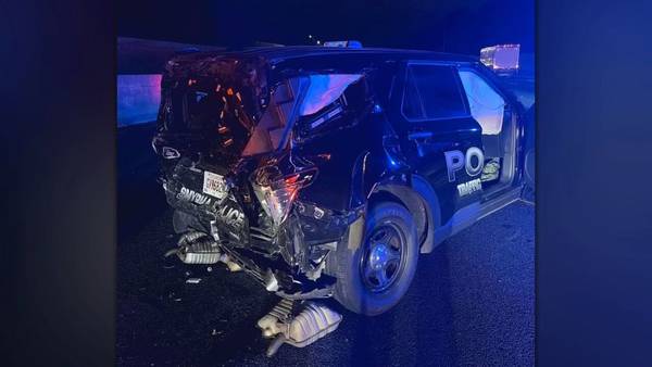 Driver charged with DUI after crashing into police vehicle
