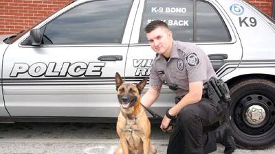 Metro Atlanta retired K9 recovering after undergoing emergency surgery