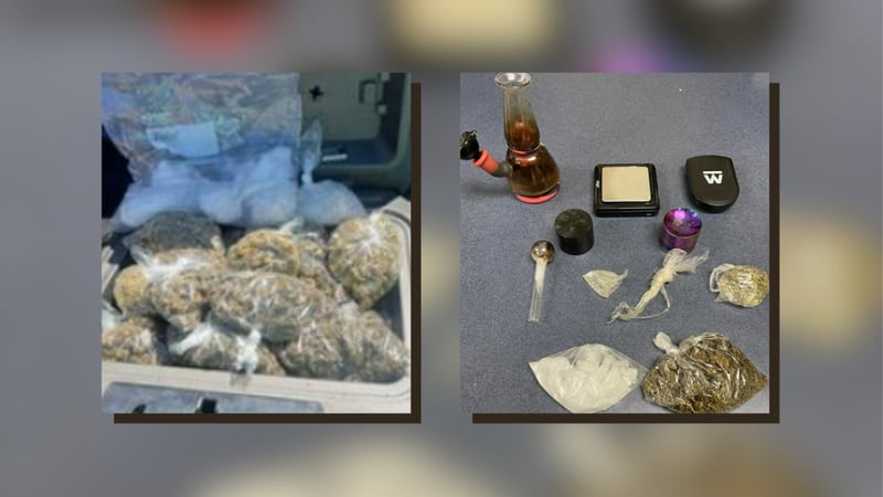 Drugs found in Carroll County (left) and Cleburne County (right)