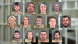 13 people arrested as north Georgia deputies break up theft ring