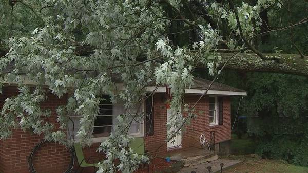 Large rotten tree breaks, crashes into Cobb County house