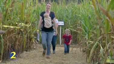 Fall Fun at the Buford Corn Maze Save $3 by using promo code FAM2FAM