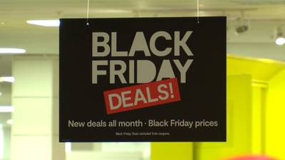 Metro Atlanta shoppers hit the stores for Black Friday bargains
