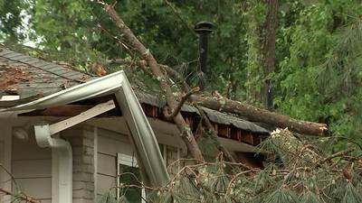 Experts warn more severe weather in our region could cause higher insurance rates