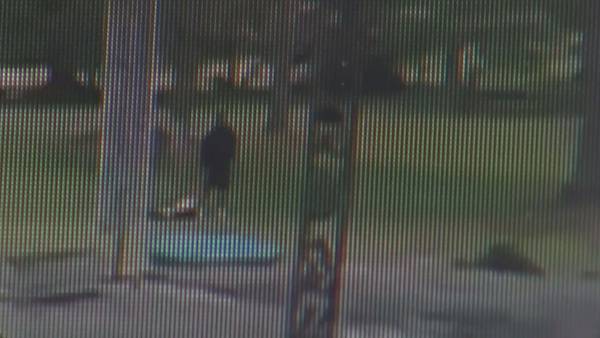 Athens police trying to identify man seen dragging, kicking dog on home security video