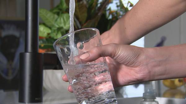 Georgia researchers work to remove harmful forever chemicals from water