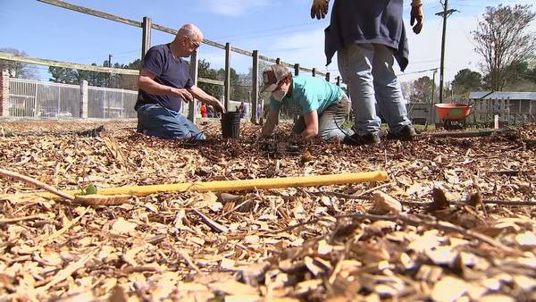 Nonprofits come together to plant orchards across metro Atlanta
