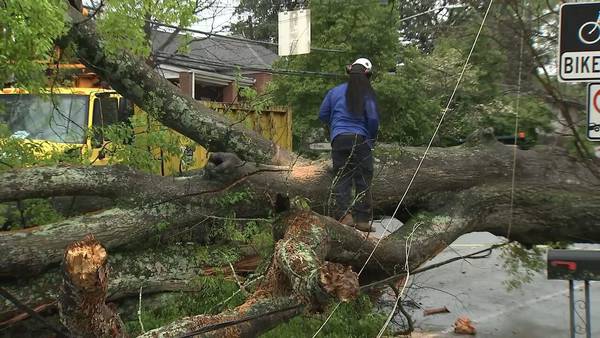 Neighbors clean up after storms topple trees in Southeast Atlanta