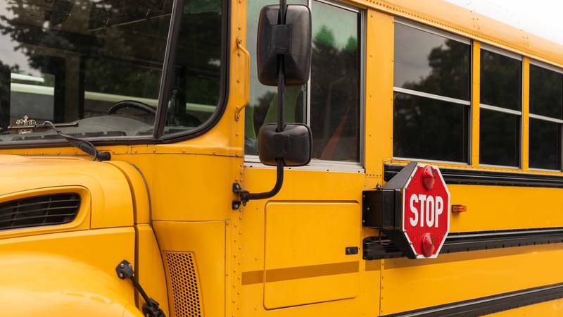 A horse has died after escaping its enclosure and getting hit by a school bus Wednesday morning in Topeka, Kansas.