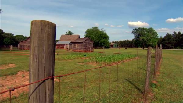 State agriculture commissioner working to keep hostile countries from buying GA farmland