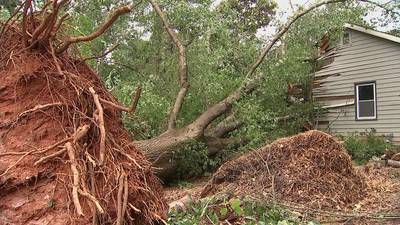 Storms knock down dozens of trees in Cherokee County