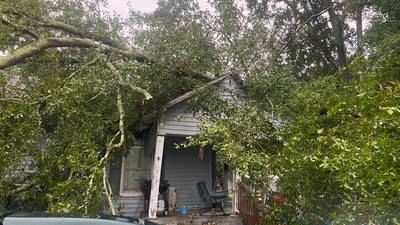 “It’s heartbreaking:” Two weeks after couple buys home, tree crashes down on it