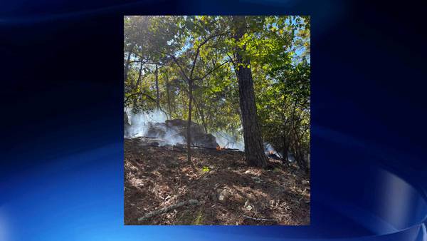 Fire officials contain forest fire on Alcovy Mountain