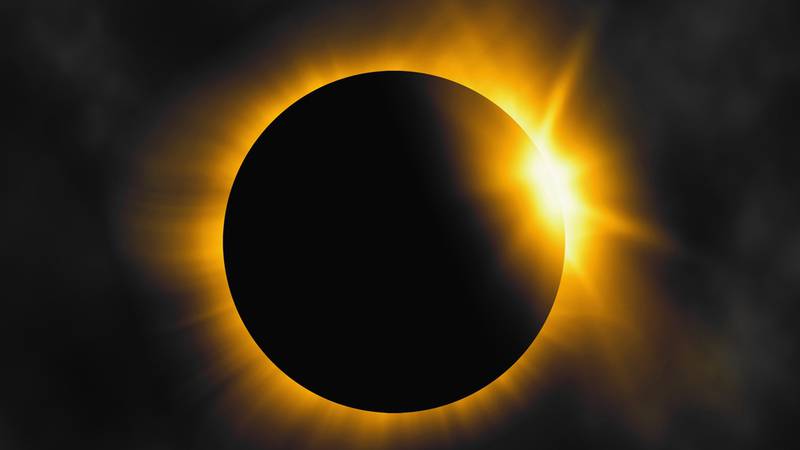 On April 8, many will be in the path of the solar eclipse that is expected to happen. Humans use special glasses to be able to it but many wonder how it may affect animals or plants.