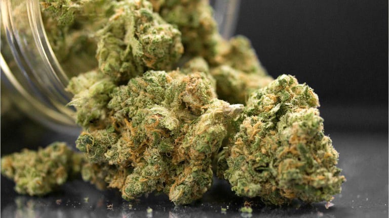 Fentanyl-laced marijuana fueling Connecticut overdoses, police say – FOX13  News Memphis