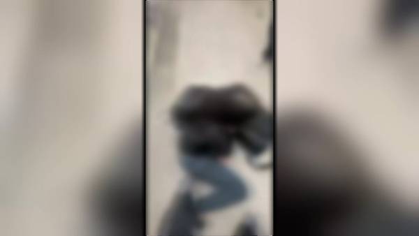 Video shows brutal attack of 14-year-old girl in Gwinnett County high school bathroom