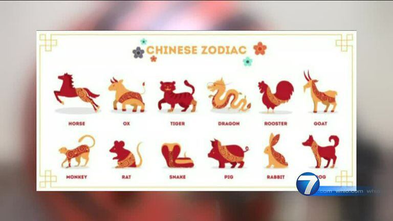 Year of the Tiger: Bengals playoff run coincides with Chinese New Year  celebration – WHIO TV 7 and WHIO Radio