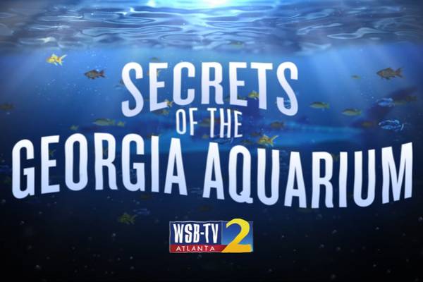 Secrets of the Georgia Aquarium