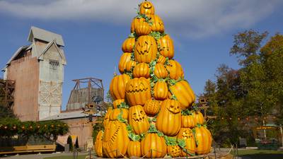 PHOTOS: Massive pumpkins, halloween decor at Dollywood