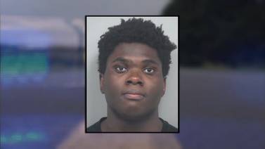 Police say teen released after pulling woman’s shorts down at Gwinnett park, harassing other women