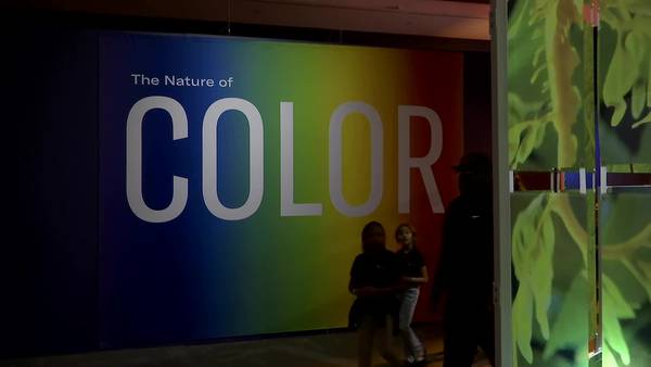 Nature of Color at Fernbank: Is red powerful? Is blue calming? What do colors make you feel?