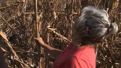 Farmers struggle with crops during extreme drought in parts of north Ga.
