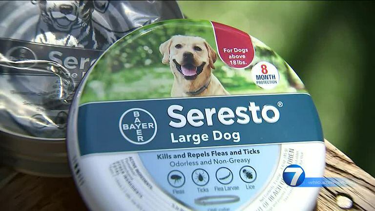Deadly dog collars Thousands of complaints filed after reports of