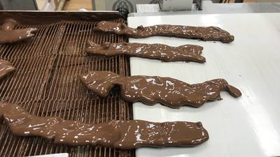 PHOTOS: Chocolate crawl coming to north Georgia town