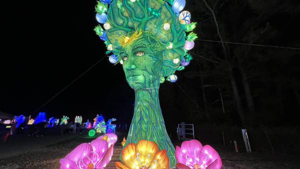 PHOTOS: Step into a wonderland at this stunning lantern festival in Gwinnett County