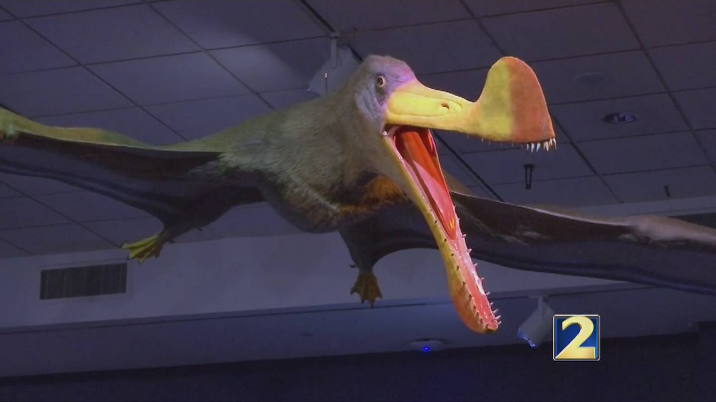 Flying reptiles on exhibit at Fernbank – WSB-TV Channel 2 - Atlanta