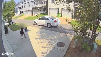 Dognappers return pet back to Atlanta family after being caught on surveillance camera