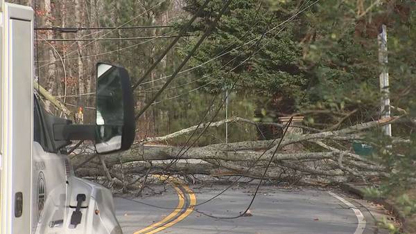 Fallen tree blocks road, knocks out power to over 100 homes in Sandy Springs