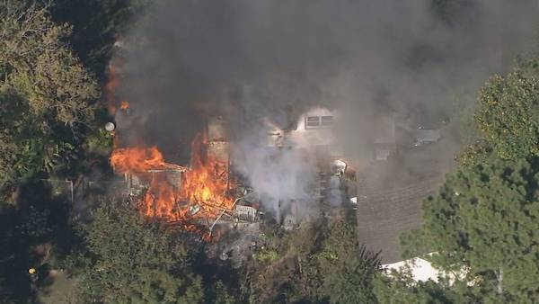 1 person injured after Gwinnett home goes up in flames