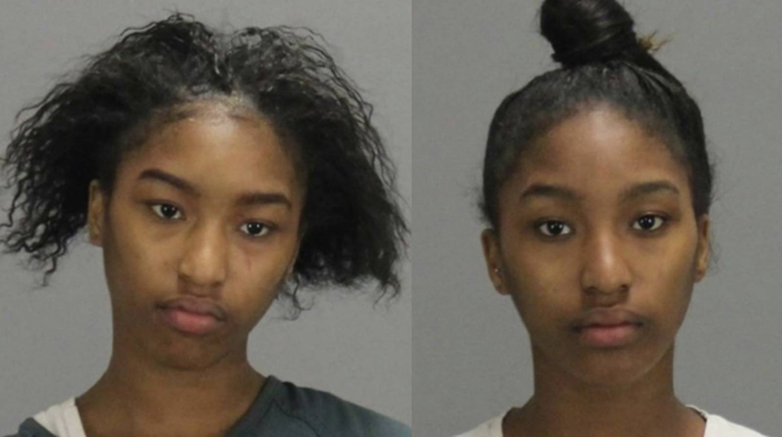 One twin arrested in frying pan attack; sister still on the run WSB