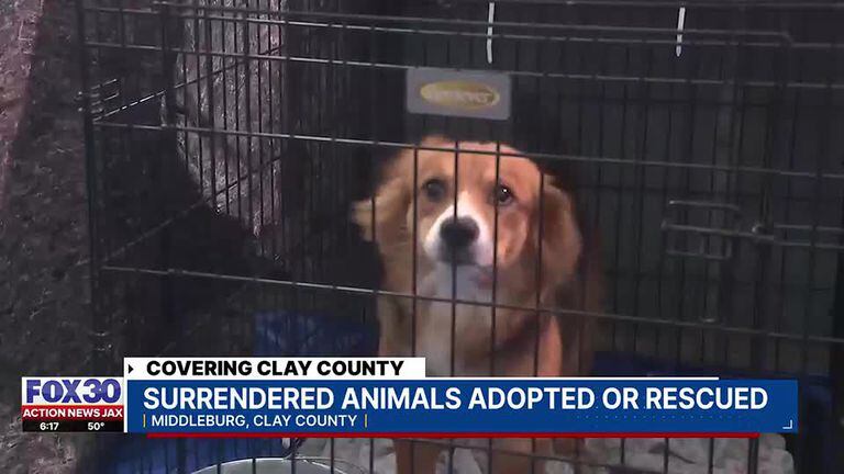 Middleburg animal shelter 2025