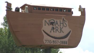 Noah’s Ark board member makes public statement for first time since state investigations