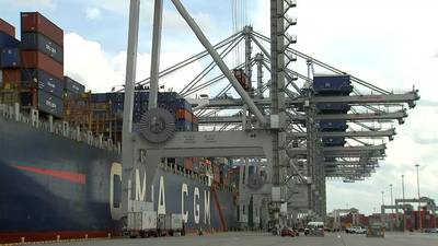 Local port pilots essential to safety, Georgia port officials say