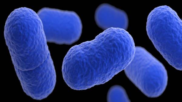 Listeria outbreak reported in 10 states, including Georgia, tied to unknown source