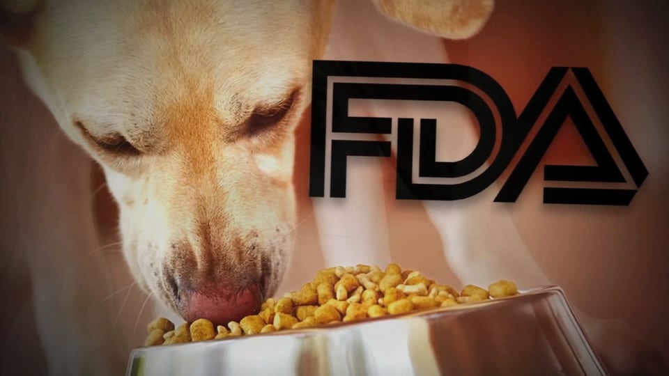 Grain free dog food linked to heart problems in pets is puzzling situation for FDA 95.5 WSB