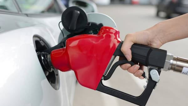 Drivers feeling the pinch at the pump. Will opening reserves help lower the price of gas?