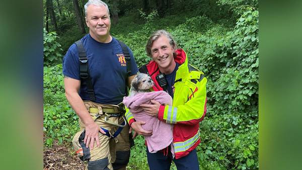 Roswell firefighters rescue small dog that tumbled down ravine, got trapped