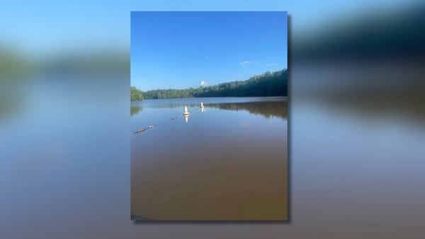 Authorities warn of alligator sighting at west central Georgia lake
