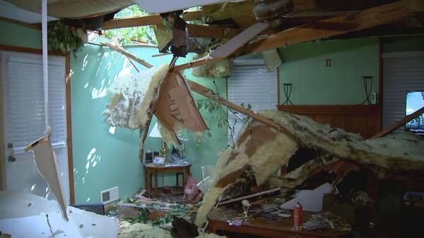 ‘An act of God’: Tree in neighbor’s yard crashes through Atlanta roof, homeowner in other room